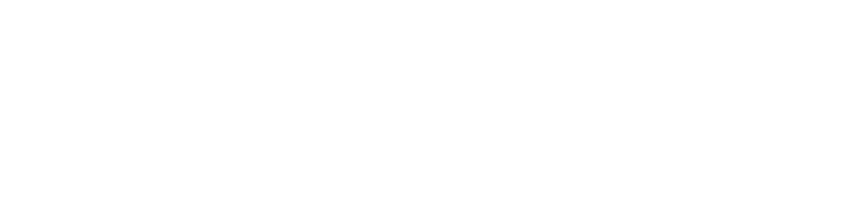 Neues Logo von Nico mit korrekter Höhe